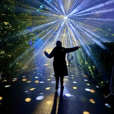 lumiere Glittering Grove, Sound Intervention. Leonardslee Lights. Photo by Voiceboxphotography (1).jpeg